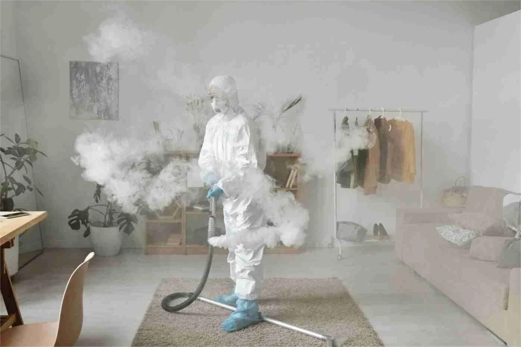 Dry Fog Mold Remediation Service
