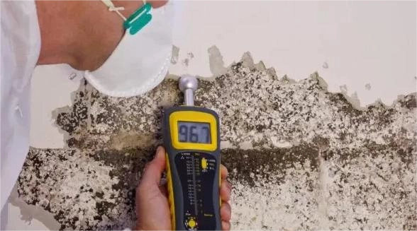 Moisture detection tools used for Kansas City mold remediation and leak inspection