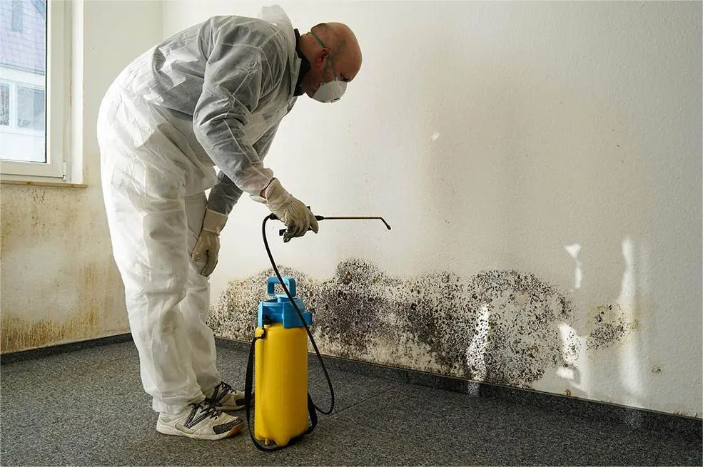 professional mold removal kansas city