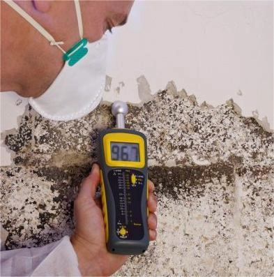 Expert mold inspection and testing service in Kansas City